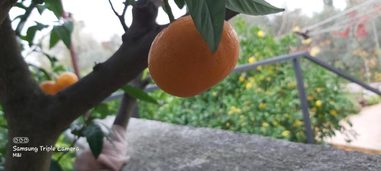 הוילה קוקליצ'ה Vecchia Oliva,Kuljica מראה חיצוני תמונה